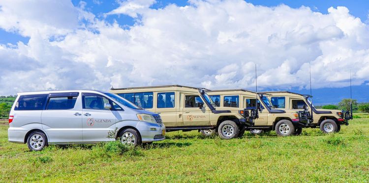 Land Cruiser Double Cab with Camping Gear