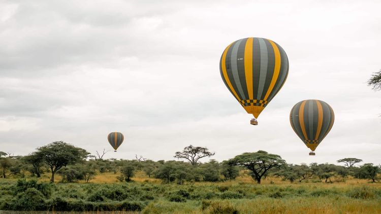 Discover Spectacular Northern Tanzania On Majestic Safari