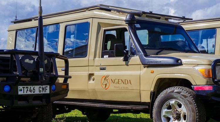 Land Cruiser Double Cab with Camping Gear